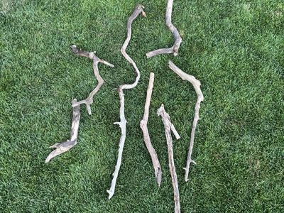 drift wood