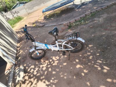 Electric bike