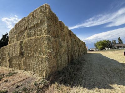 Premium 3-Way Hay
