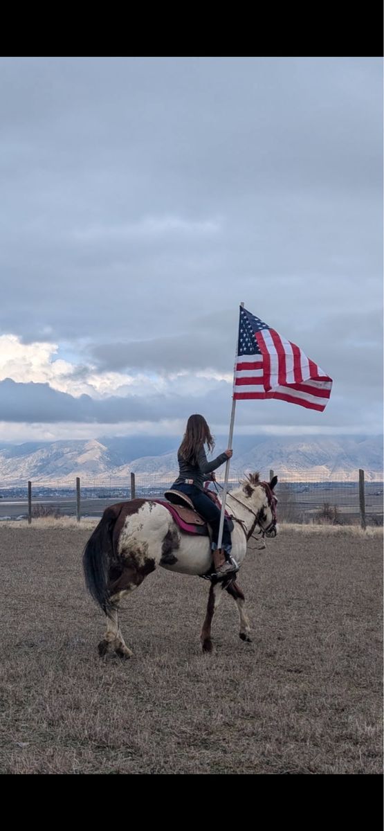 Begginer Horse Riding And Horsemanship Lessons