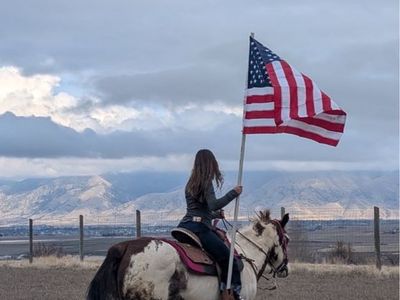 Begginer Horse Riding And Horsemanship Lessons