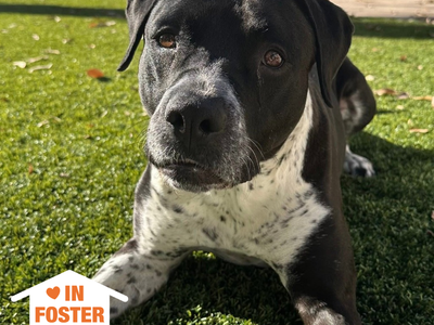 Hello my name is Bebe