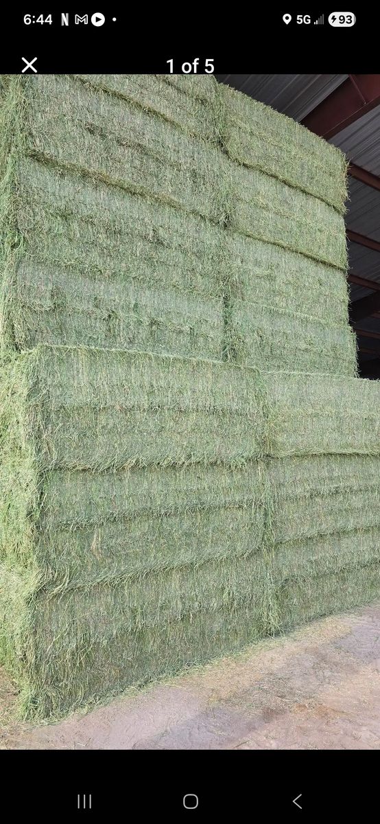 Premium Horse Hay Grass, Alfalfa and Mix