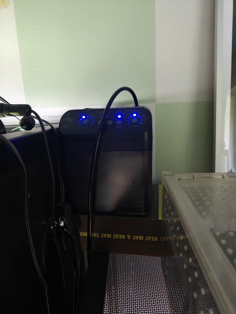 Main image 3