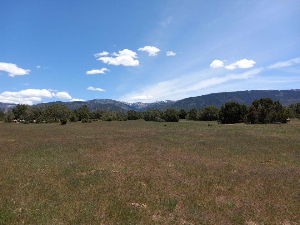 Main image 13