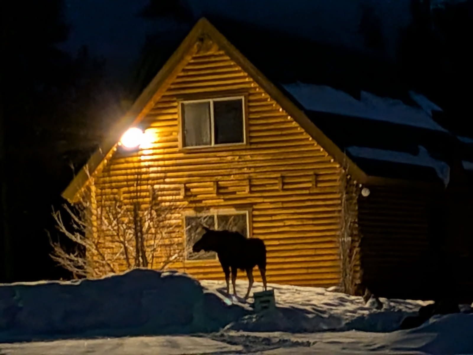 Cabins at Bear River Lodge - 1, 2, 5 Bedrooms for Sale