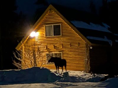 Cabins at Bear River Lodge - 1, 2, 5 Bedrooms for Sale