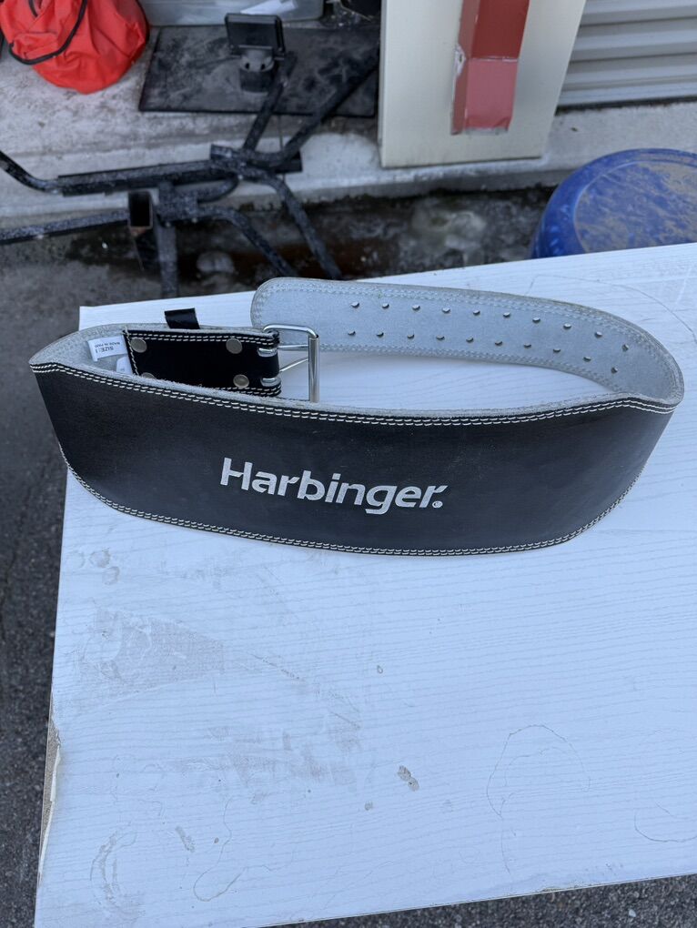 Weight training belt