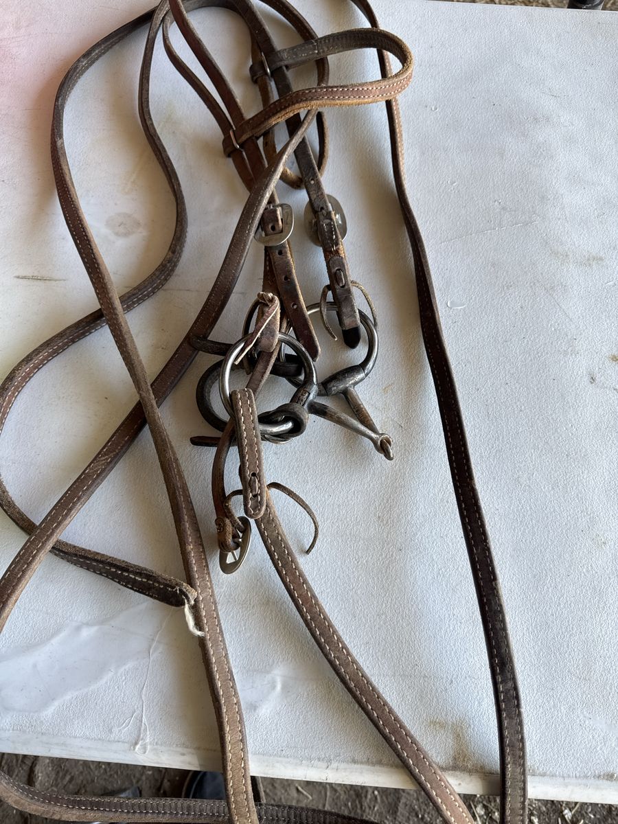 JWP eggbutt snaffle with browband headstall and 5/8 stitched reins 