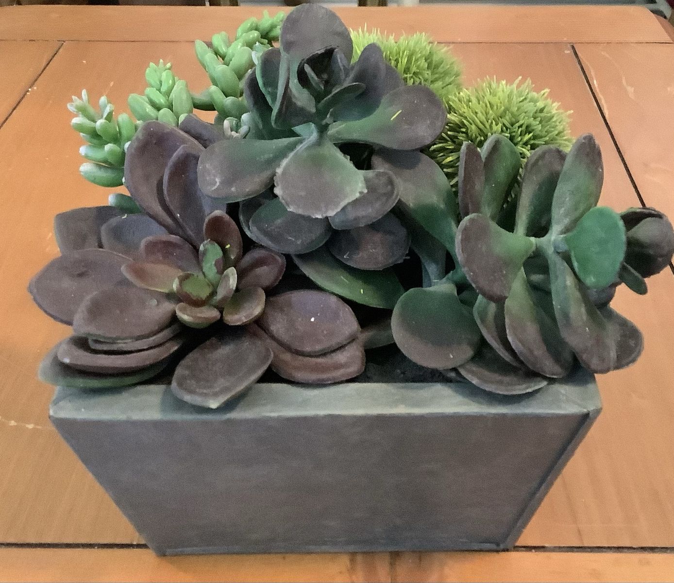 Main image 6