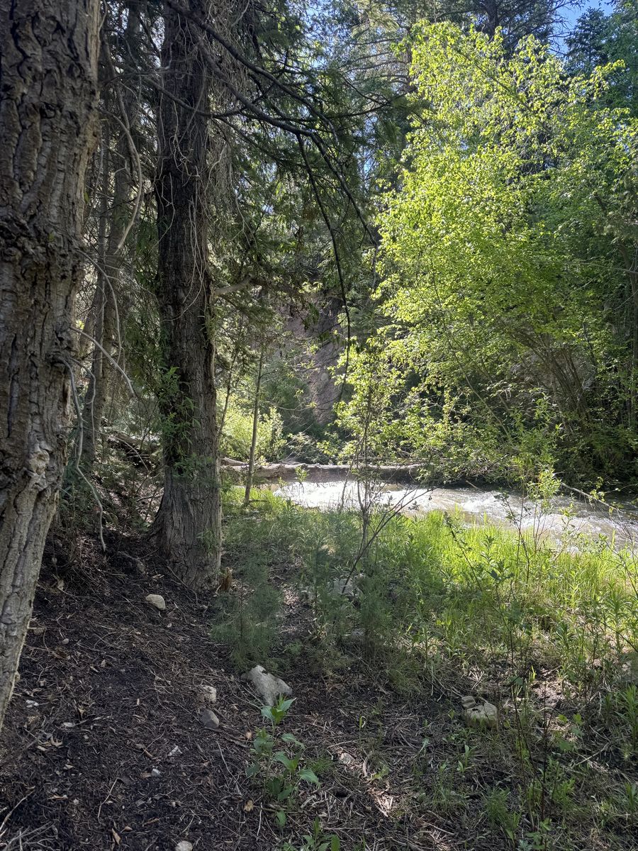 Main image 9
