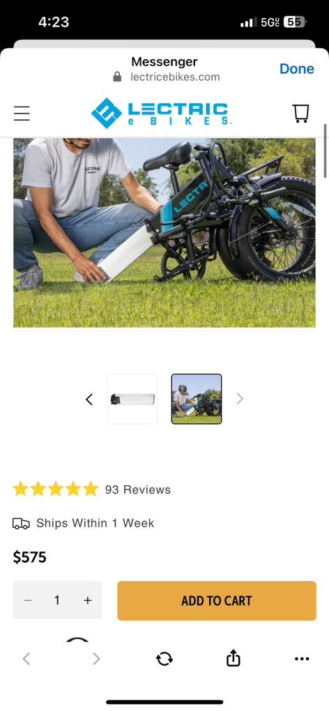 Lectric XP Long Range Battery- New Never Ised