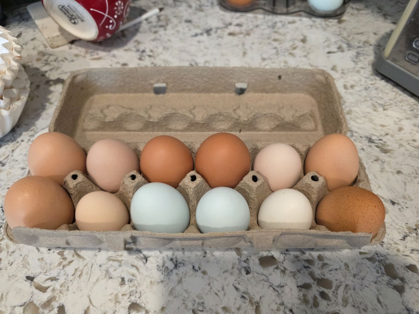 Easter/Olive Egger Hatching Eggs