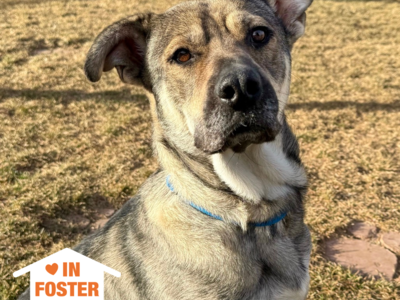 Hello my name is Juno