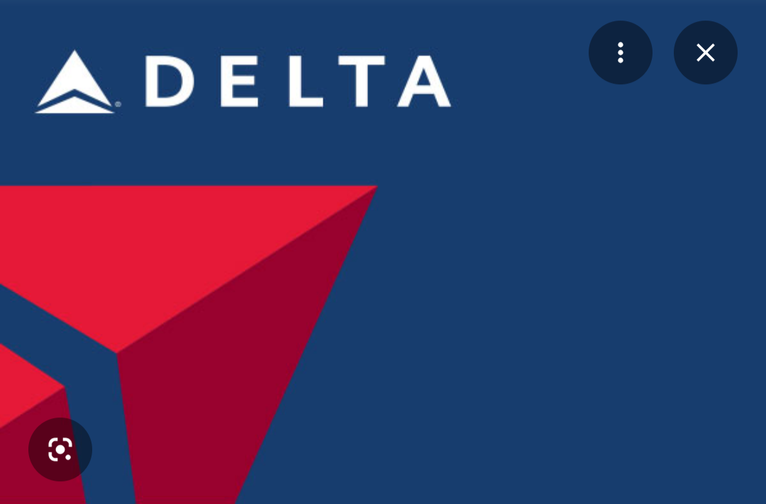 Delta Airlines Companion Ticket