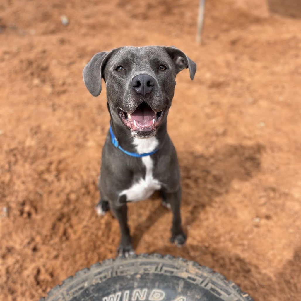 Hello my name is Grai