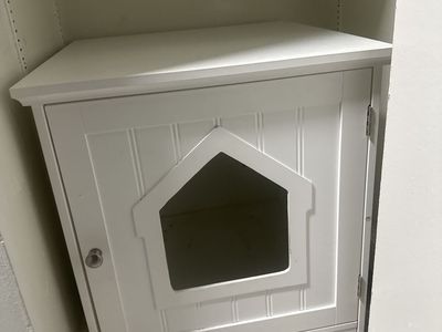 Cat box
