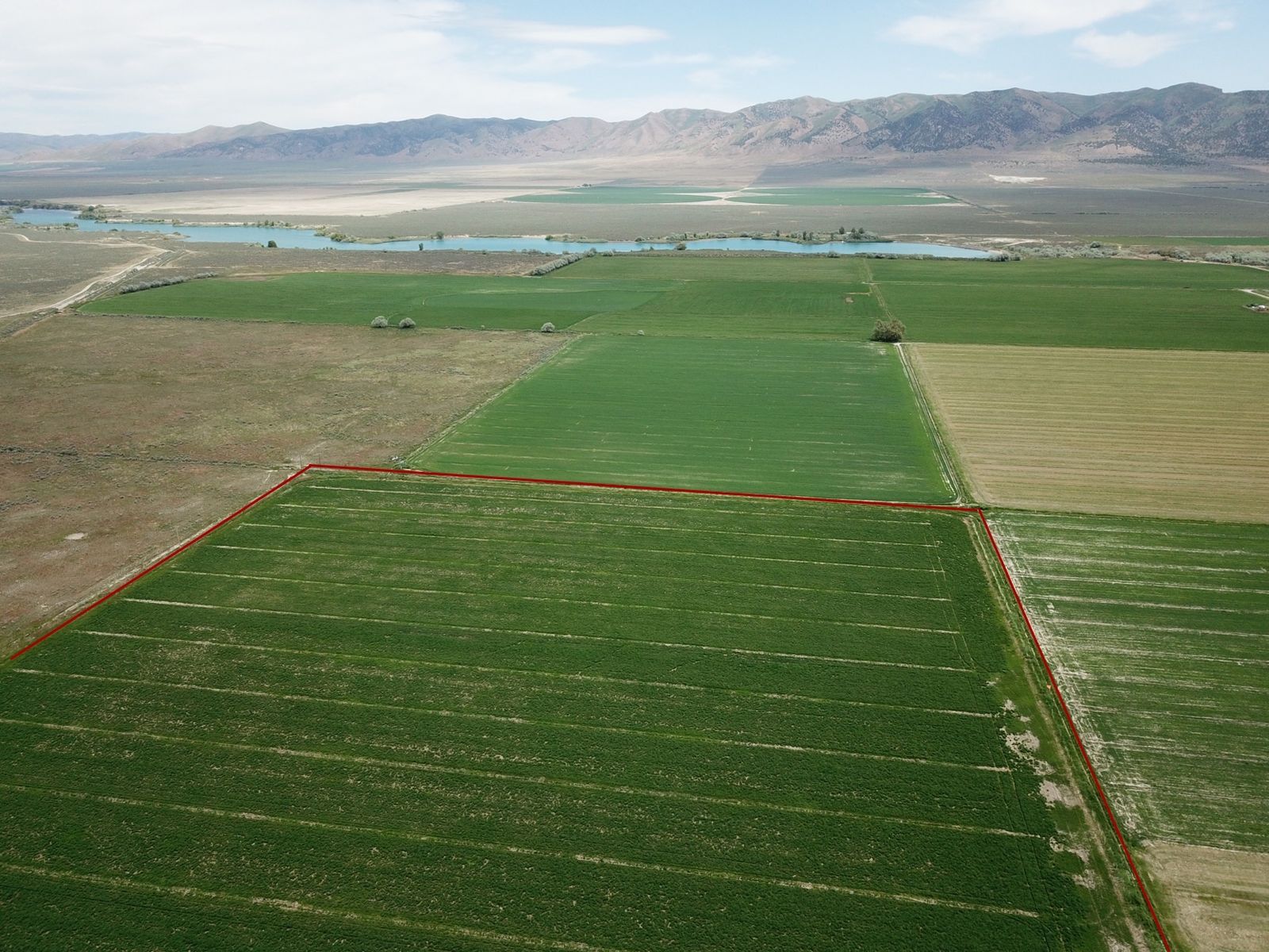 30 Acres of Prime Growing Ground in Stone Idaho For Sale