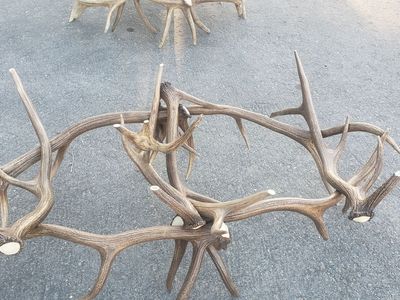 Antler coffee tables