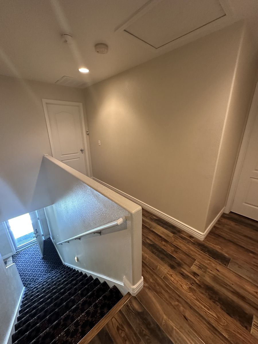 Main image 5