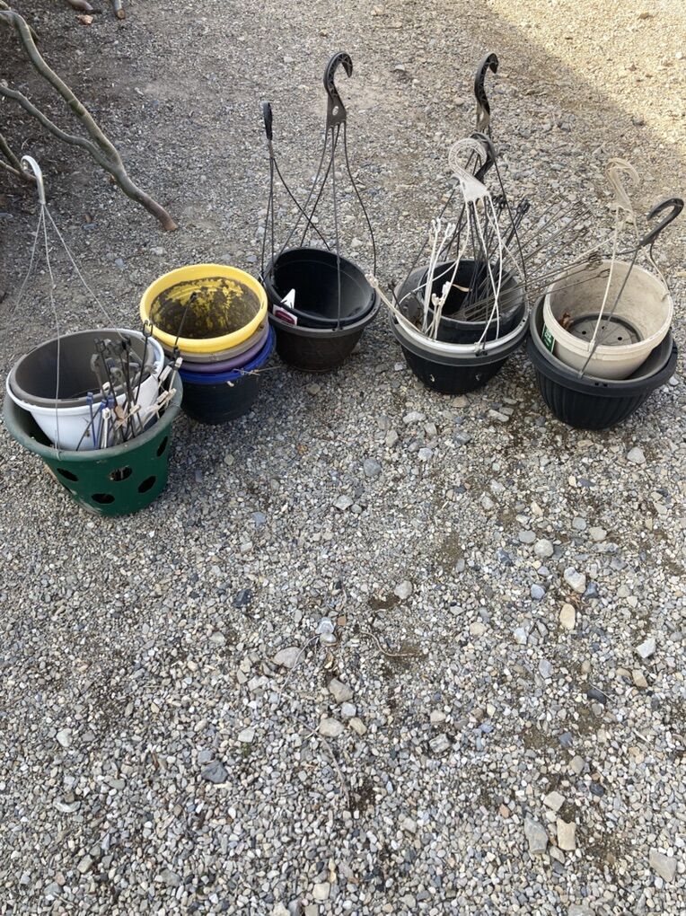 Hanging Baskets