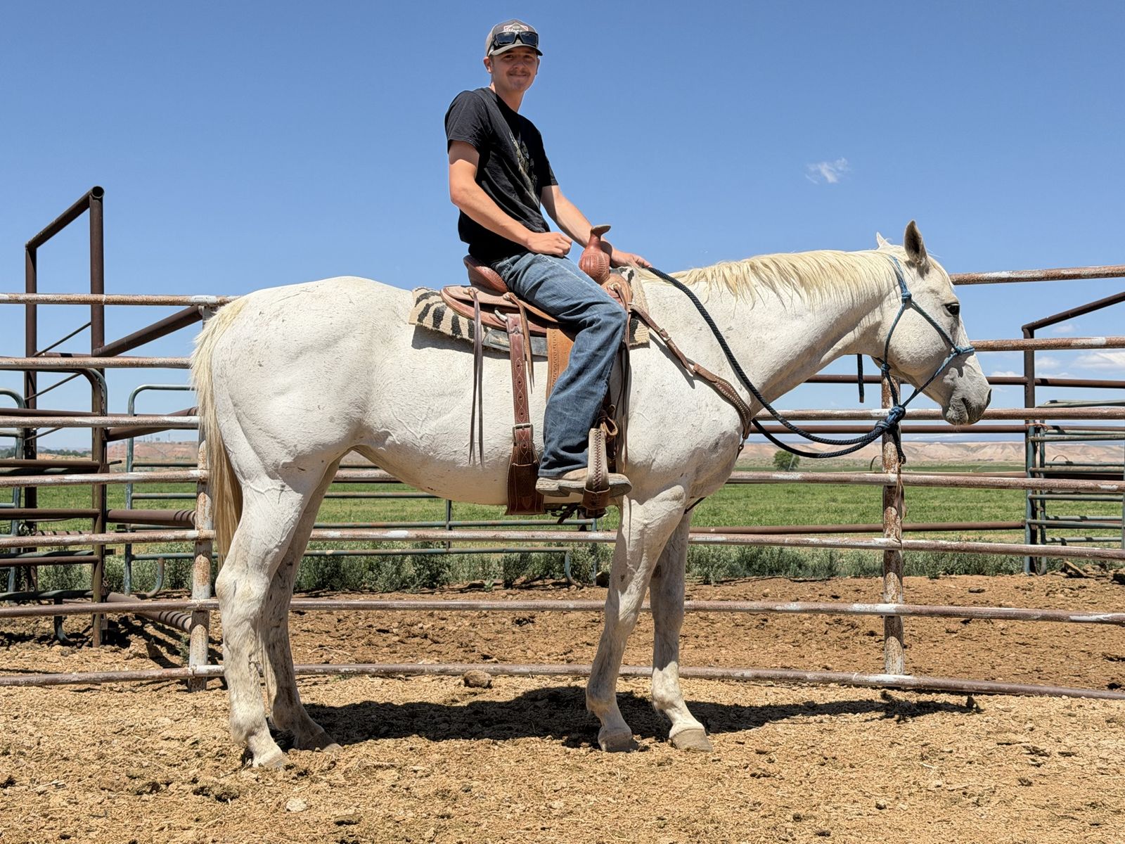 22 year old AQHA mare