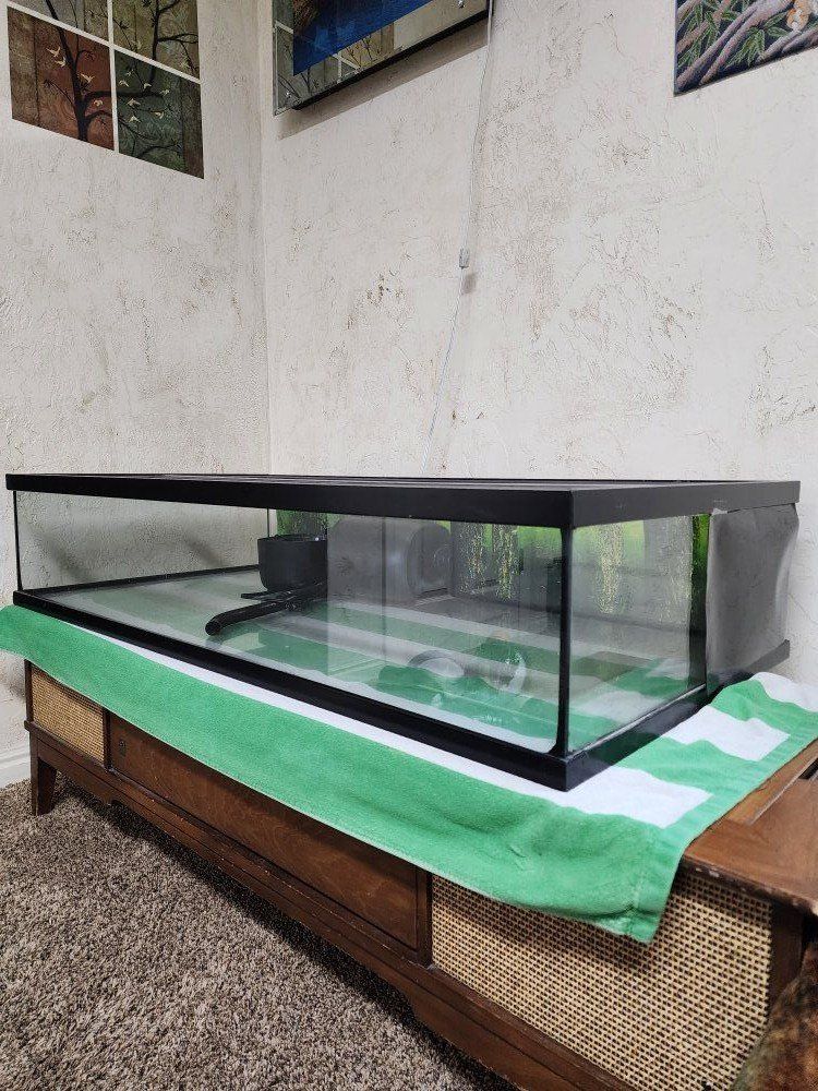 Long shallow terrarium