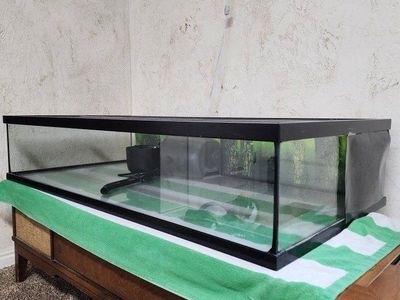 Long shallow terrarium
