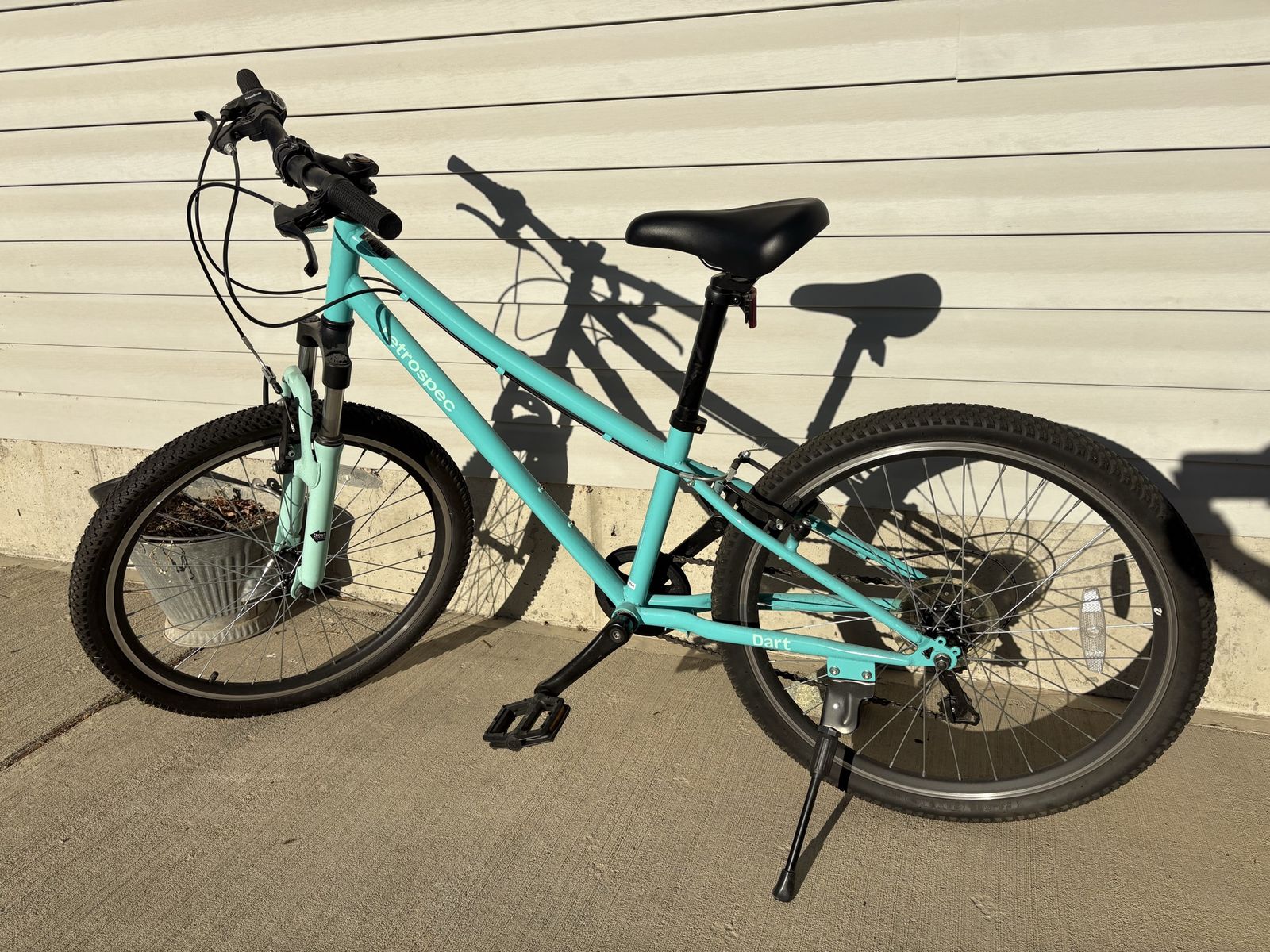 24” Retrospec bike