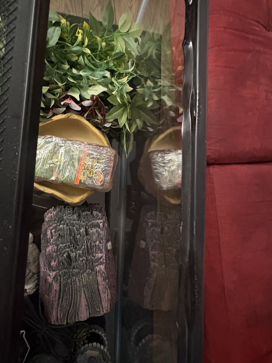 Main image 8