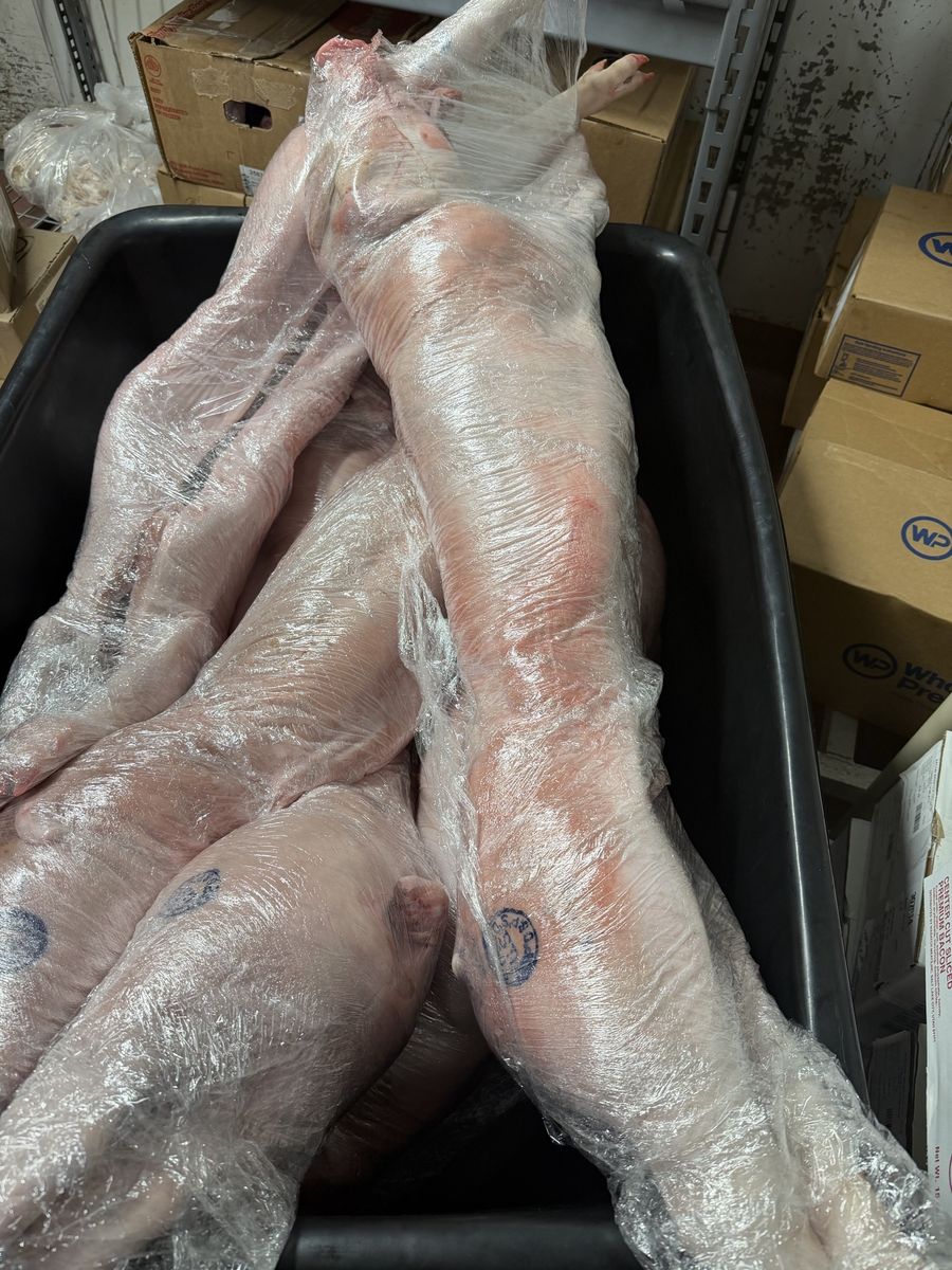 Whole Roasted Pigs (Lechon) - Ready to Cook