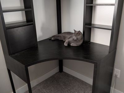 IKEA Micke Corner Workstation Desk, Black-Brown, with Shelves