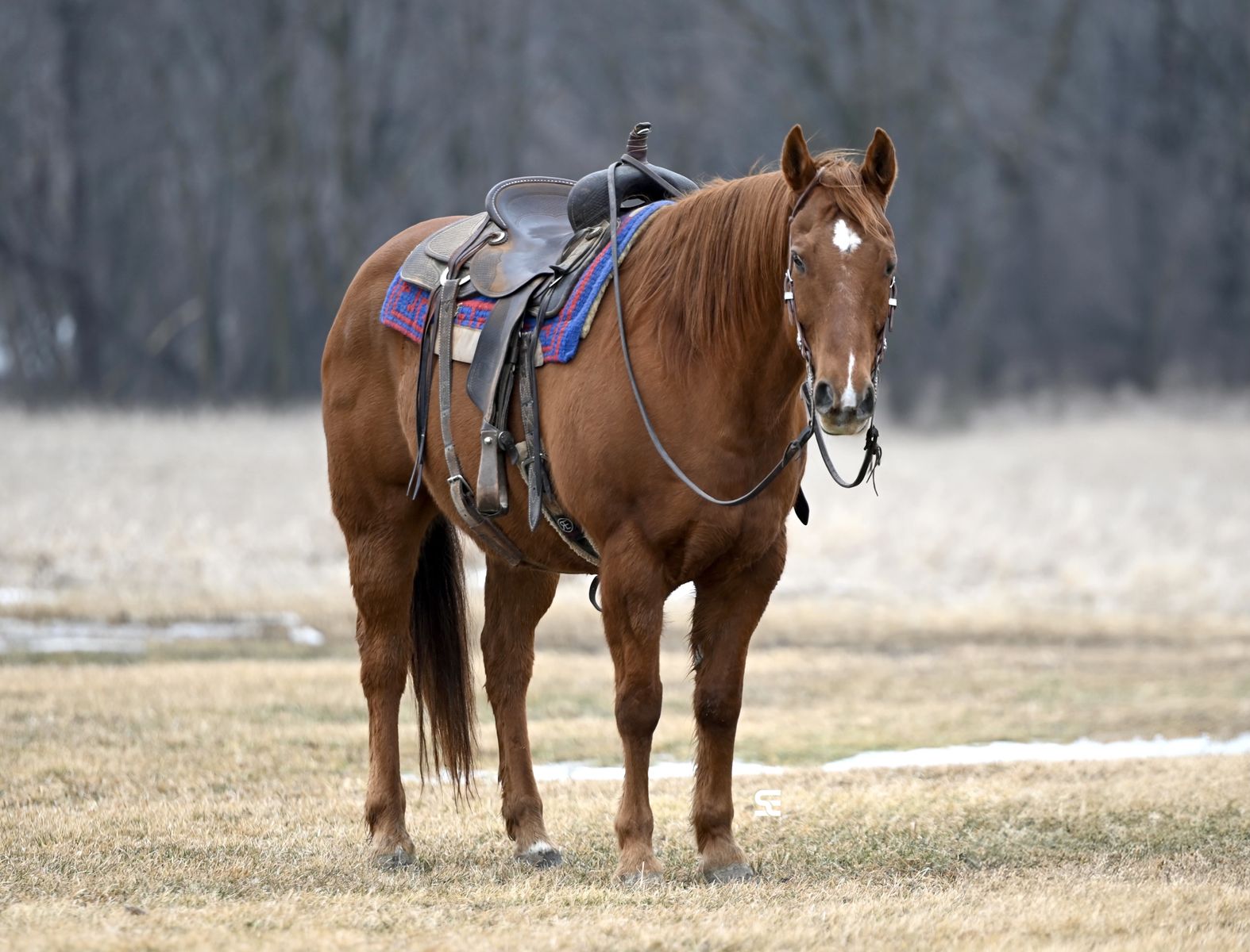 𝗛𝗨𝗚𝗘 & 𝗦𝗔𝗙𝗘 | 𝗕𝗲𝗲𝗻-𝗧𝗵𝗲𝗿𝗲-𝗗𝗼𝗻𝗲-𝗧𝗵𝗮𝘁 | 𝗥𝗲𝗱 𝗗𝘂𝗻 𝗚𝗲𝗹𝗱𝗶𝗻𝗴