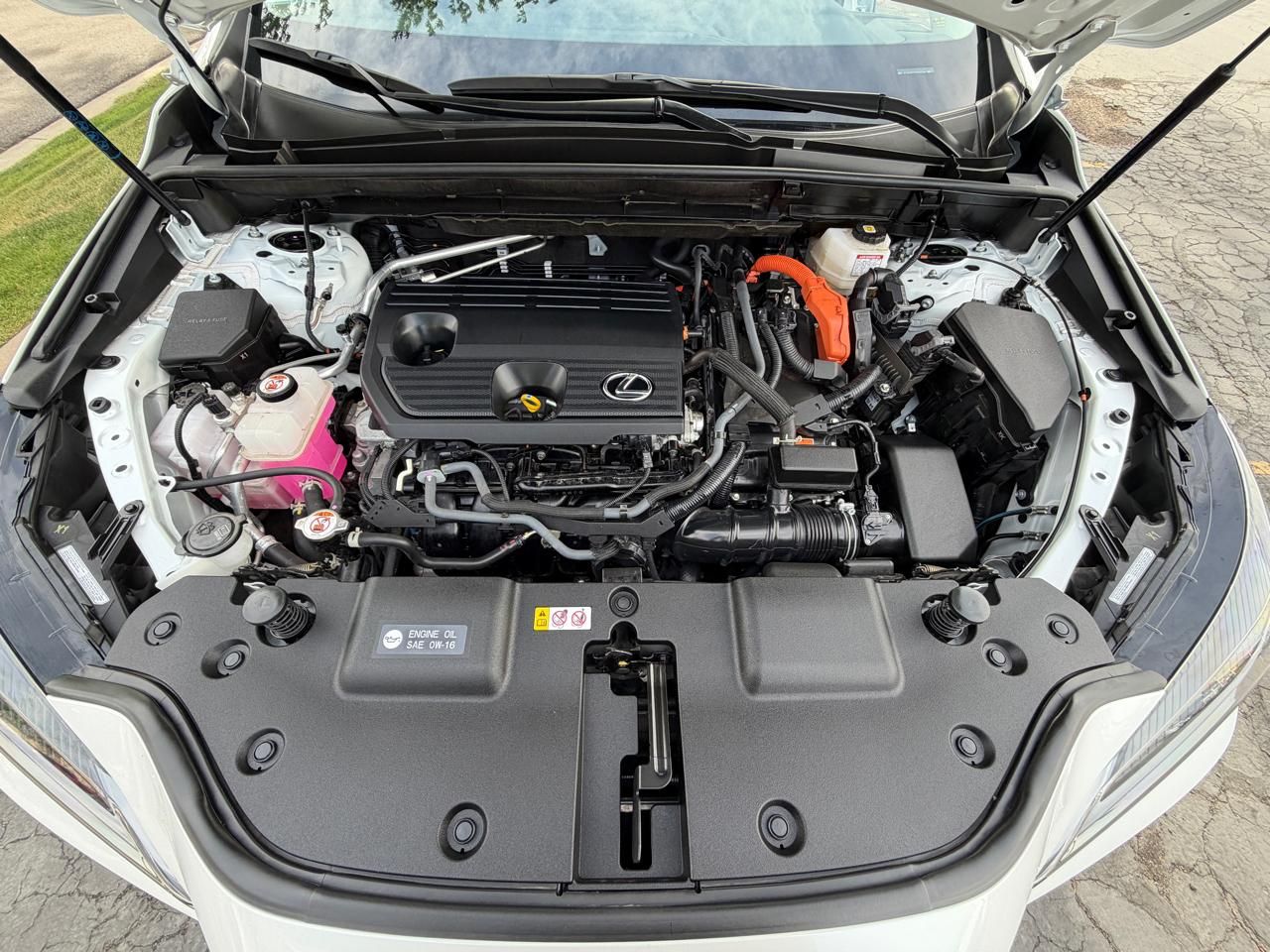 Main image 8
