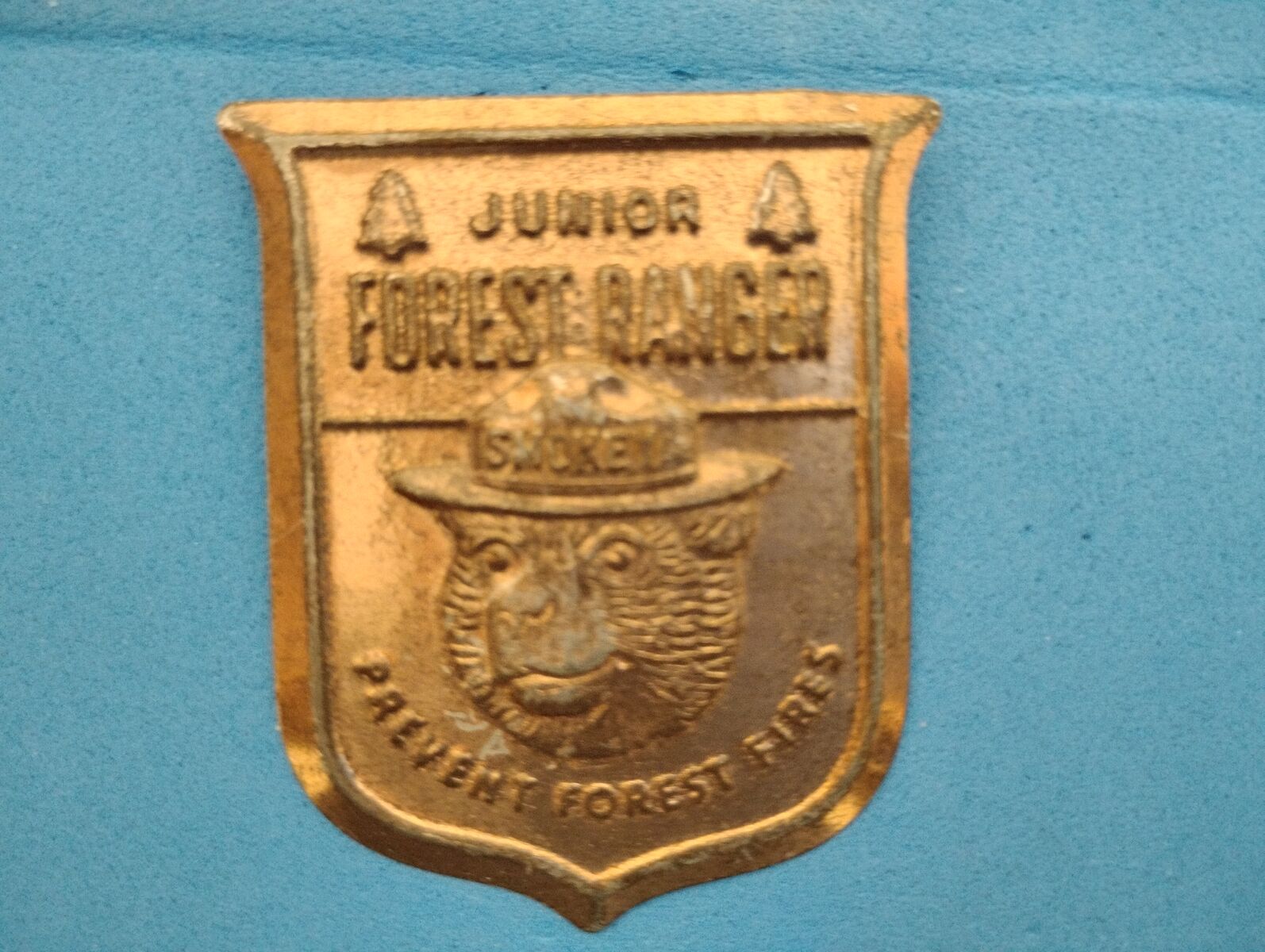 Junior Forest Ranger badge.