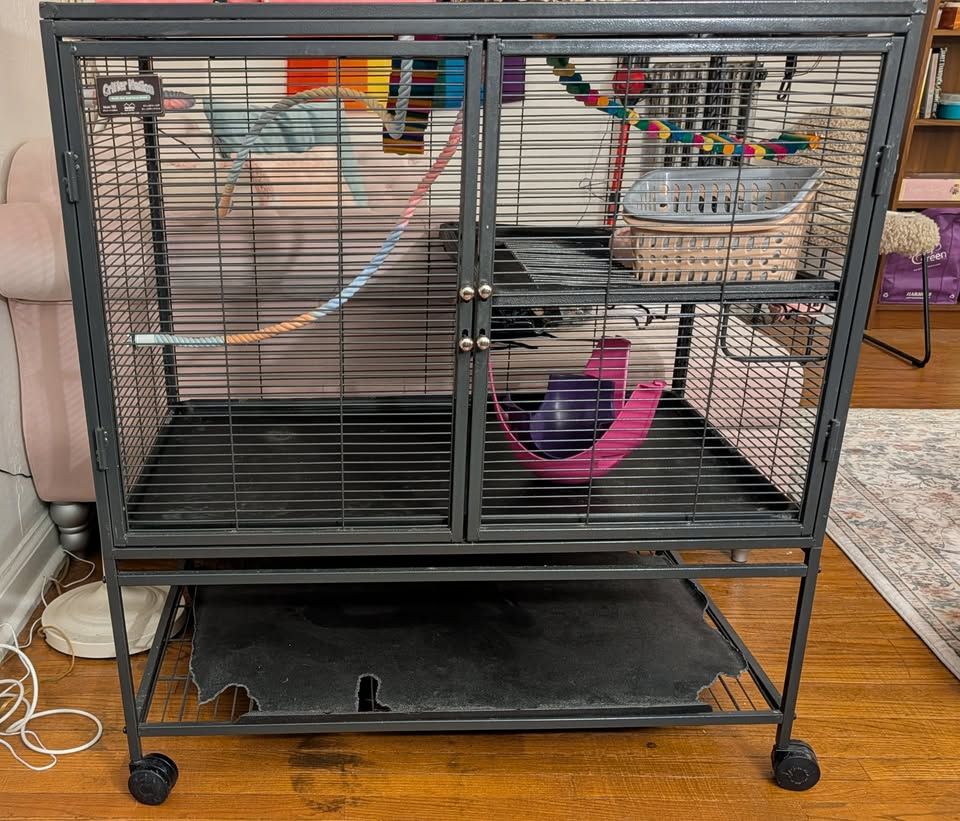 Critter Nation Rat Cage + Ultimate Spoiled Rat Bundle