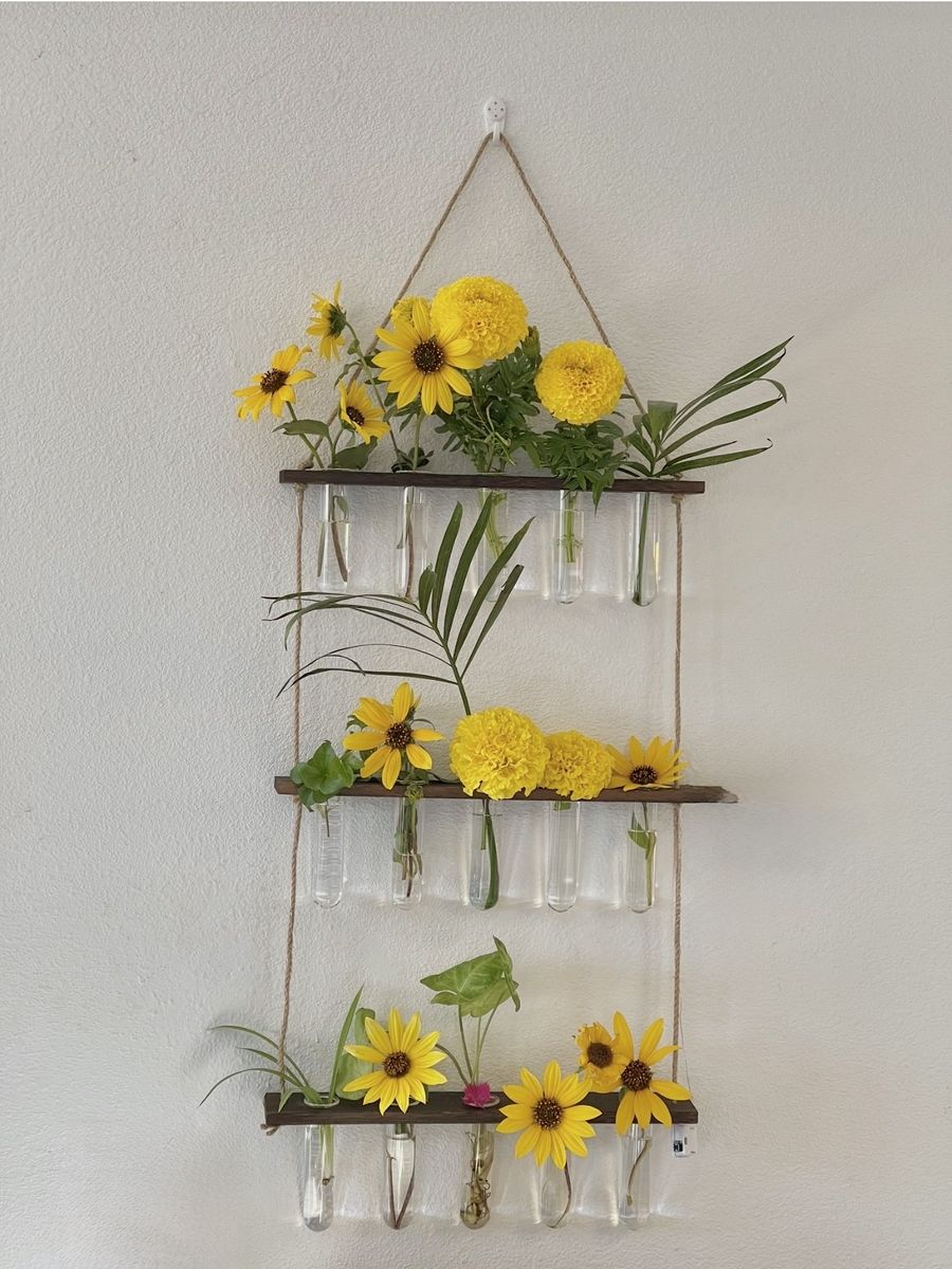 Hanging Plant Propagation Station 3 Tier Wall Mounted Test Tube Planter with LED Lights (free delivery to SLC) 