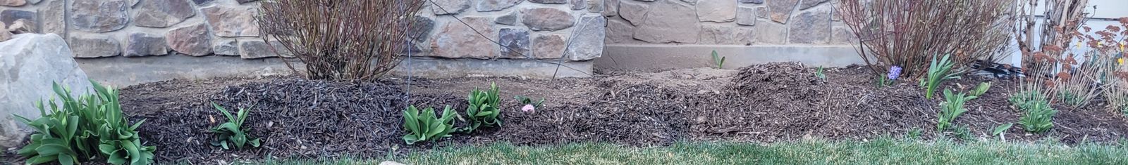 Free Fill mulch-you haul