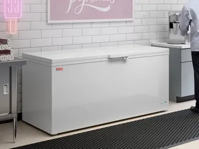 Commercial Chest Freezer - 19.4 cu. ft.