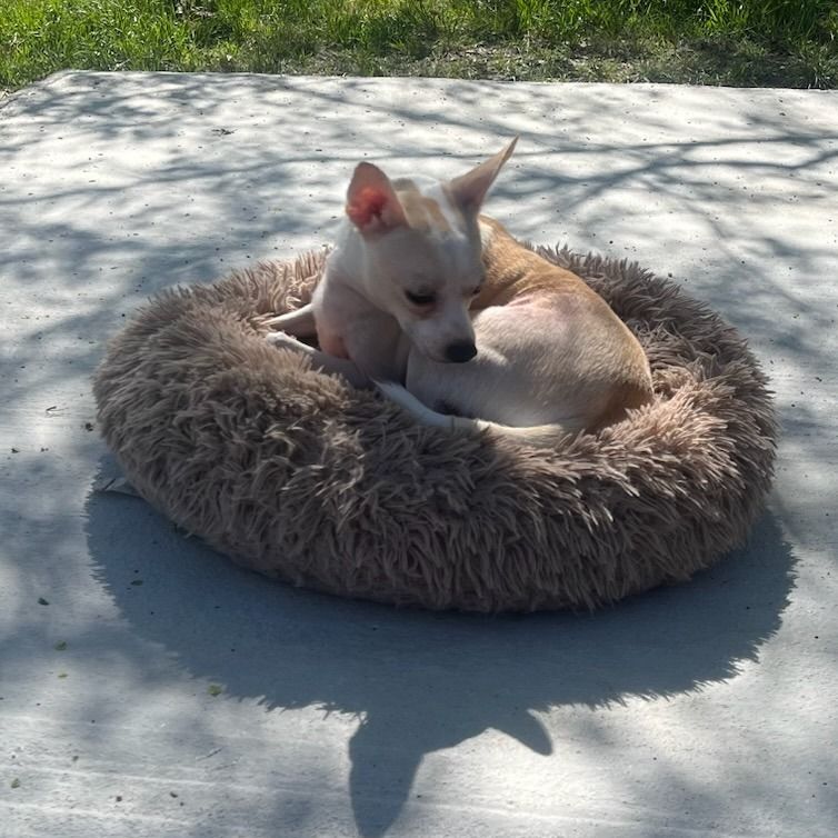 Hello my name is Paloma