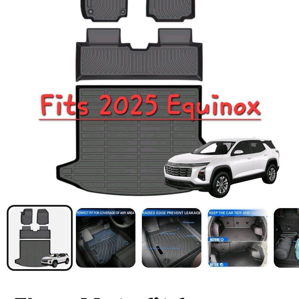 Equinox Floor mats set.