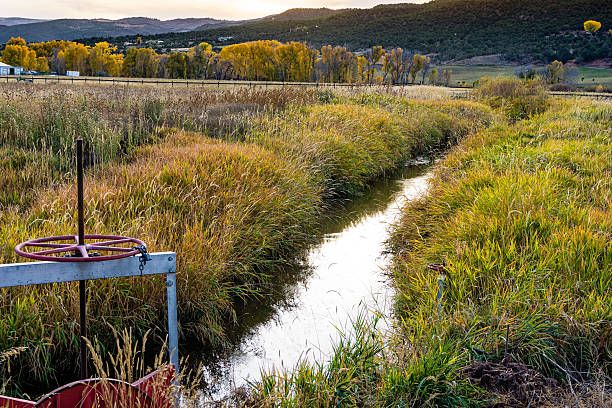 Area 35 water rights