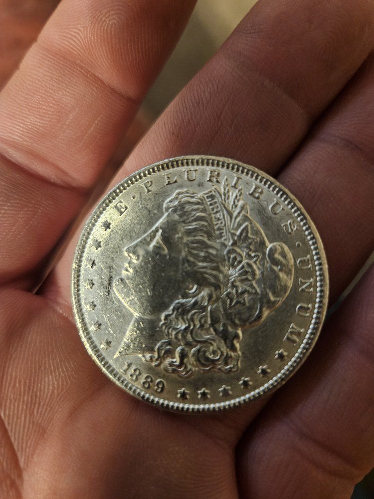 Main image 4