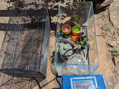 Hamster cage with tank, cage, toys
