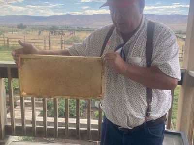 Full frames of goldenrod honey