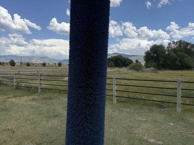 Heavy-Duty Livestock Scratch Brush