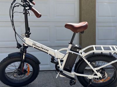 Your ️Electric Steed