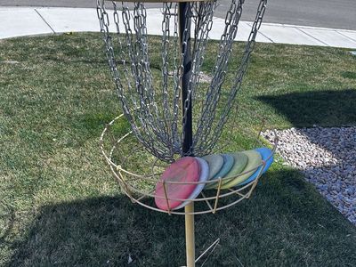 Disc Golf Basket with Putters