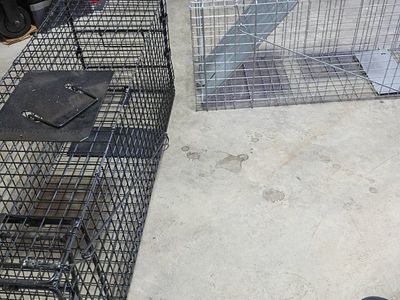 Two Animal Live Traps - Black and Silver Wire Cages