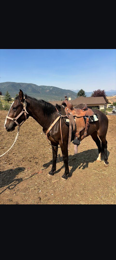 Main image 3